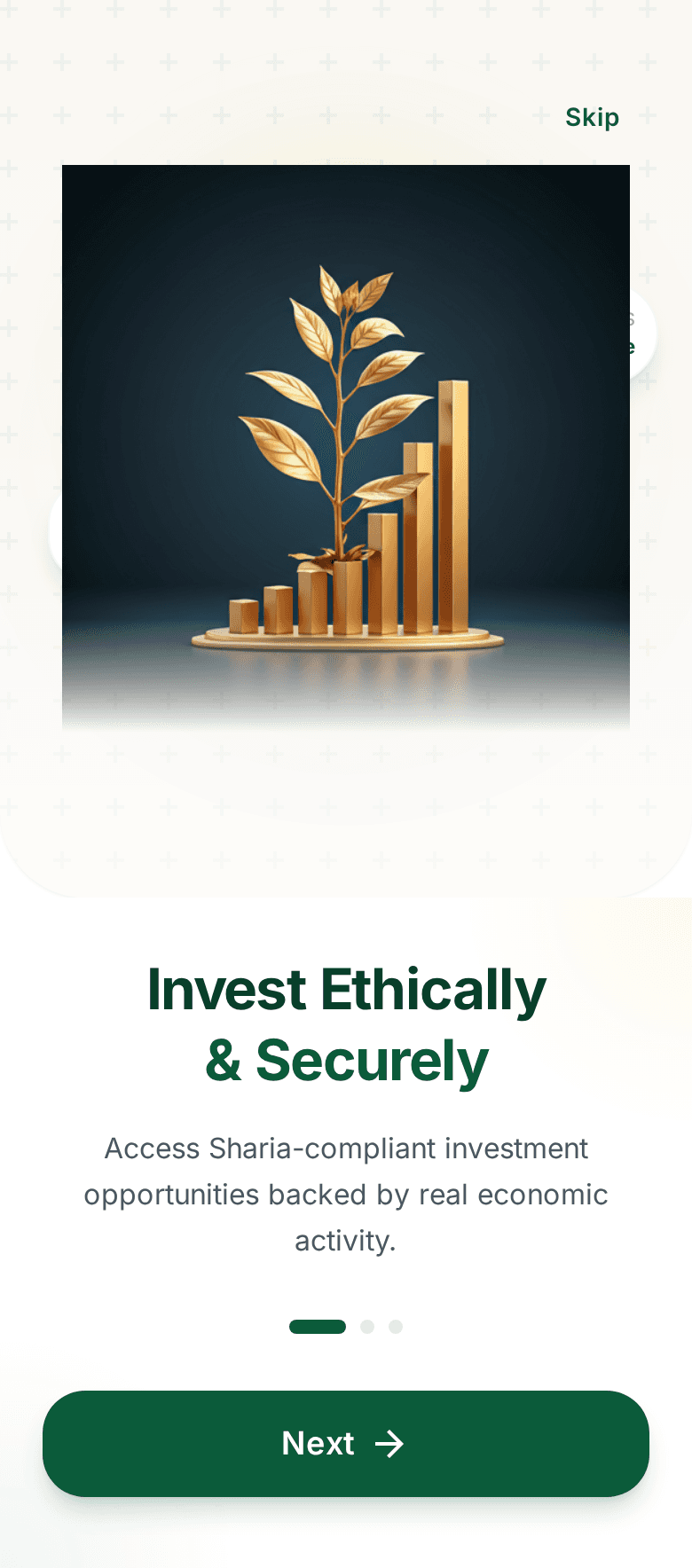 ZARI dashboard showing balances and investments